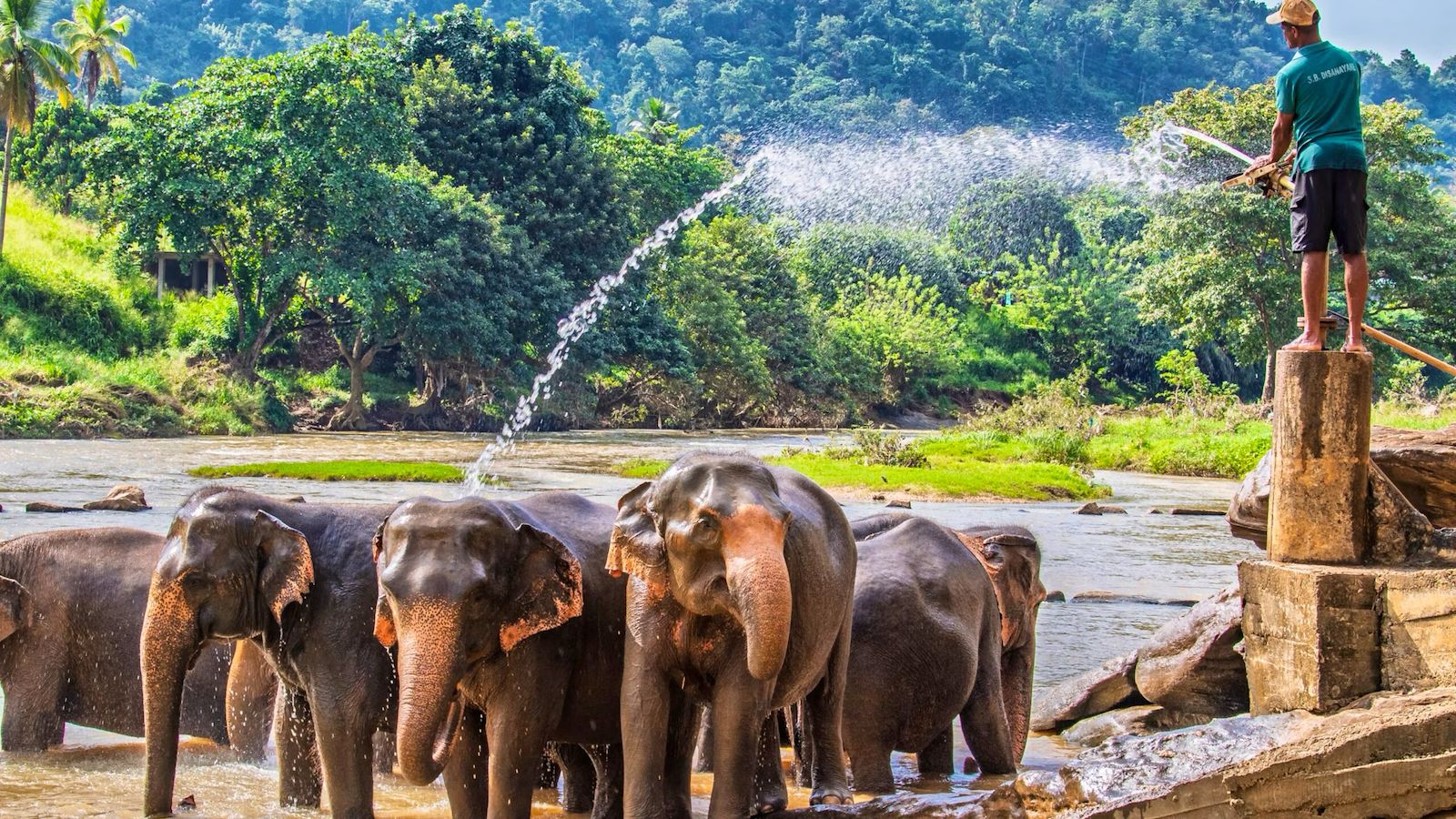 Hill Country to Coastal BlissSri Lanka Travel Package Image
