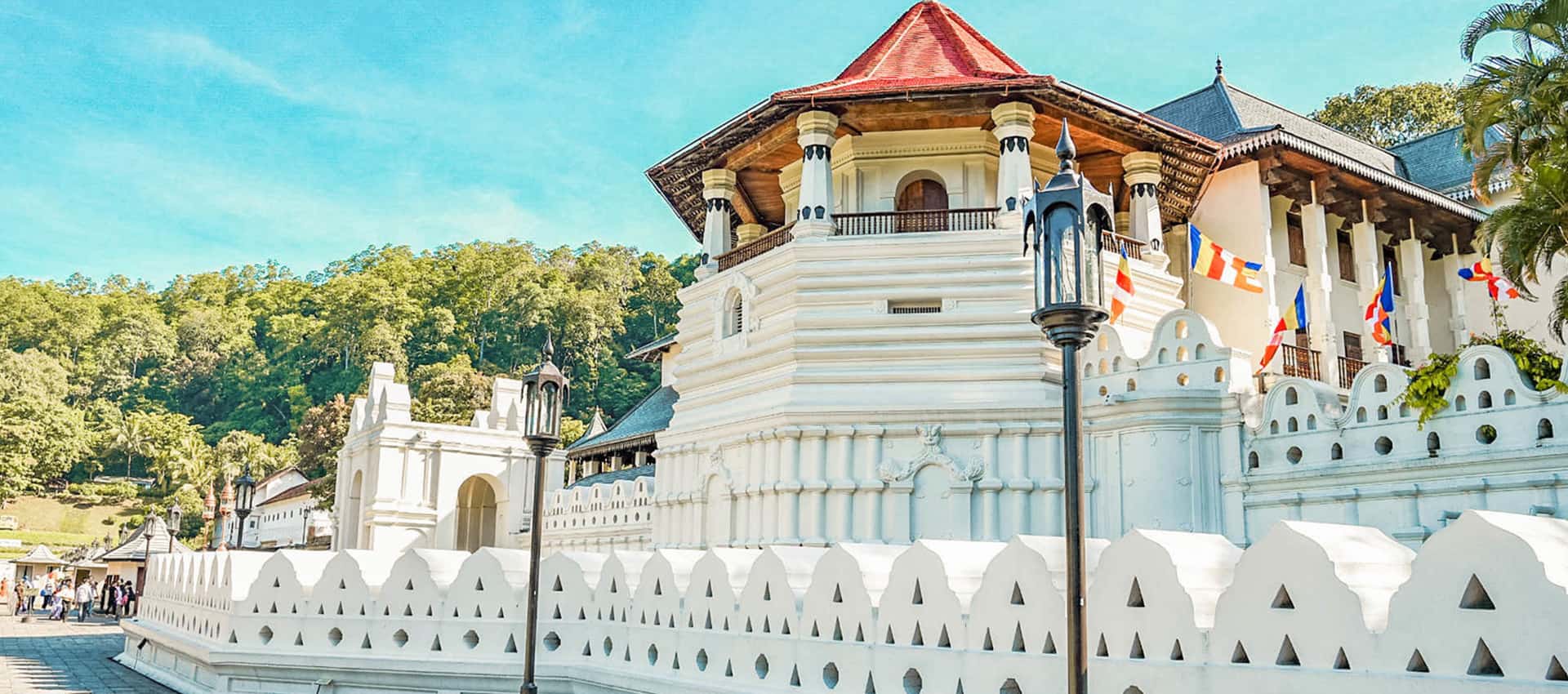 Hill Country to Coastal BlissSri Lanka Travel Package Image