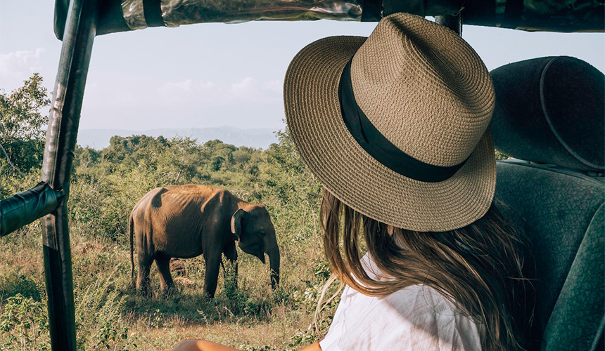 Elephant Watching in Sri Lanka