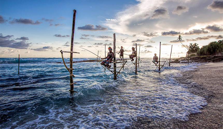 Stilt Fishing in Sri Lanka