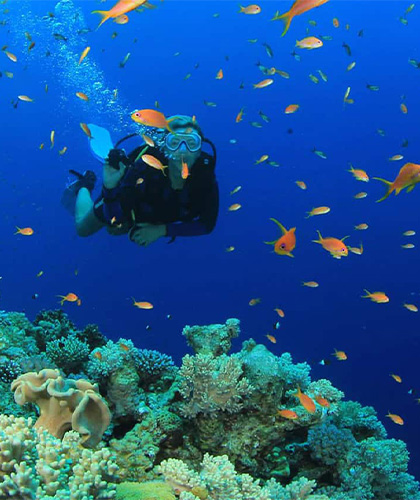 Diving in Sri Lanka