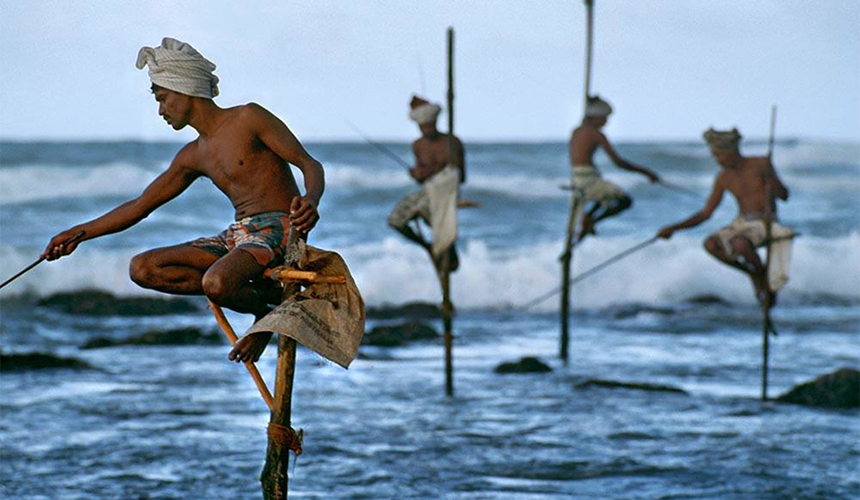 Stilt Fishing in Sri Lanka