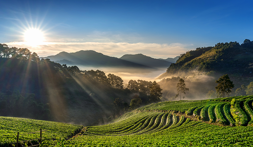 Adventure from Peak to WavesSri Lanka Travel Package Image
