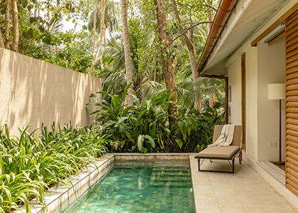 Rhythms of The Tropics : Sri Lanka in Full Bloom