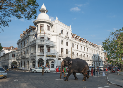 Serenity & Stone : Journey Through Heritage WondersSri Lanka Travel Package Image