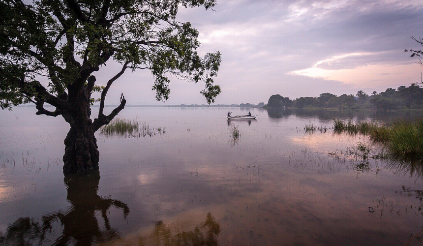 Serenity & Stone : Journey Through Heritage WondersSri Lanka Travel Package Image