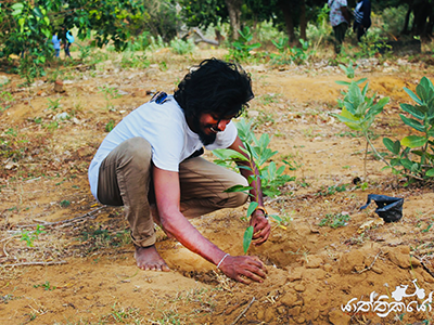 Planting Hope: A Green Journey to Wilpattu with the Youth and “Yathrikayo”