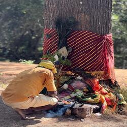 Pada Yatra foot Pilgrimage - A Sacred Journey of Devotion, Nature, and Unity !