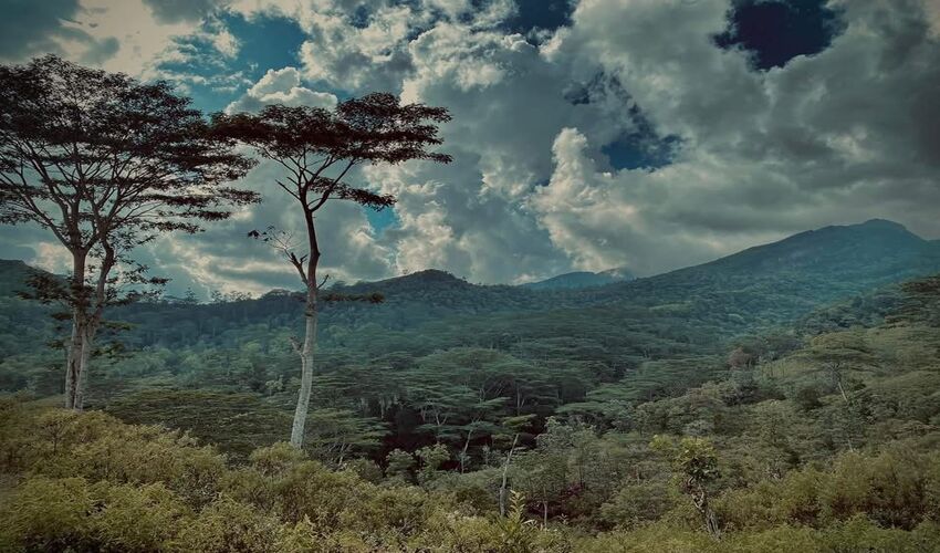 Discover the Thunhisgala Peak– Knuckles Mountain Range.